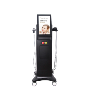EM Facial Deluxe